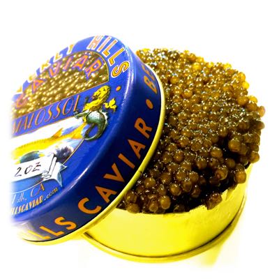 Imperial Osetra Caviar (15oz Caviar Tin)