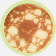 Caviar Blinis