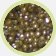 Osetra Caviar