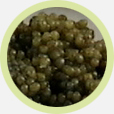 Paddlefish Caviar