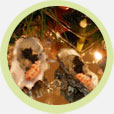 Specialty Seafood
