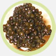 White Sturgeon Caviar