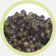 Royal Osetra Caviar :: Russian Caviar :: Royal Caviar :: Russian Ossetra Caviar :: Buy Osetra Caviar