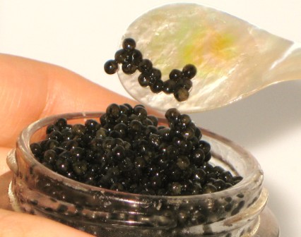 Imperial Golden Osetra Caviar - 35.2oz - 2.2 lbs - 1 Kg