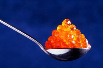 Sushi Caviar - Ikura Salmon Roe (2 pounds)