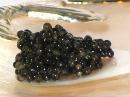 Fresh Russian Caviar, Sevruga Caviar 1lb (16oz) - $150/oz