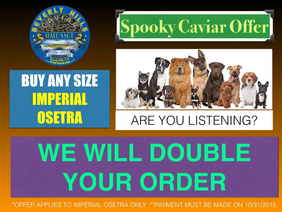 Osetra Caviar Halloween Special