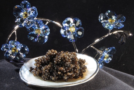 February 10th 2011, Caviar Tasting Event In New York